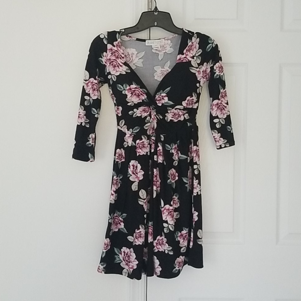 Planet Gold - Dark Floral Rose Pleated Mini Dress